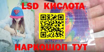 гидропоника Гатчина