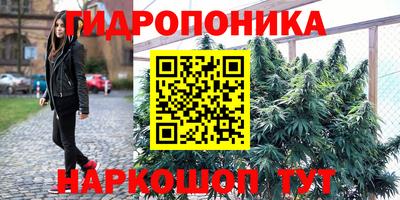 гидропоника Гатчина