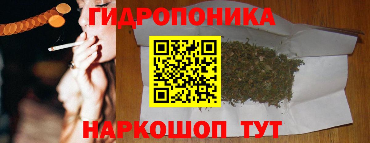 Канабис конопля Выборг